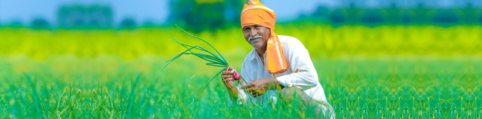 Historical Background